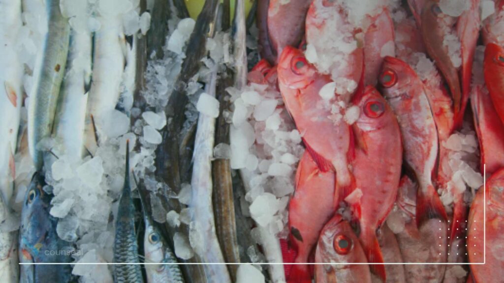Illustrate a commercial fish farm and the packaging of different varieties of fish for sale and distribution