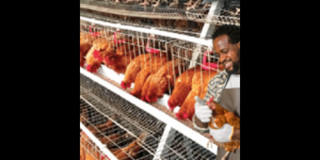 How to Start a Poultry Farm in Nigeria 2 150x150 1