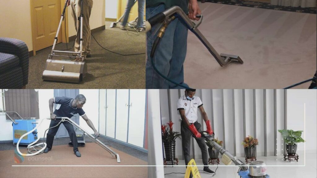  An image of different types of carpet cleaning services