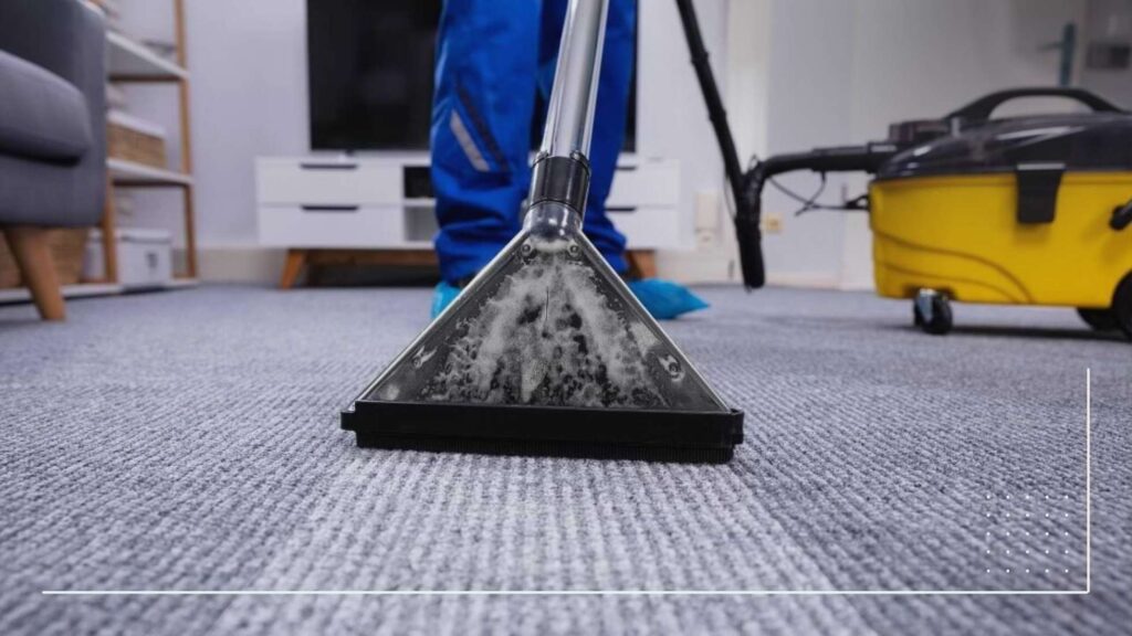 Carpet cleaning business in Nigeria