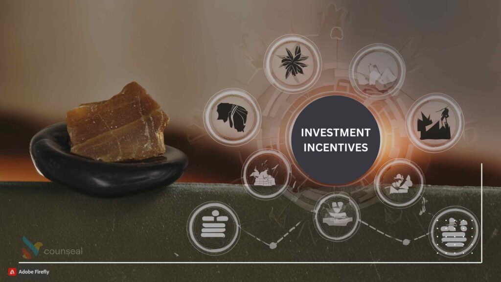 An infographic highlighting the key investment incentives in Nigeria, including tax breaks, waivers, and Special Economic Zones, with icons representing each incentive